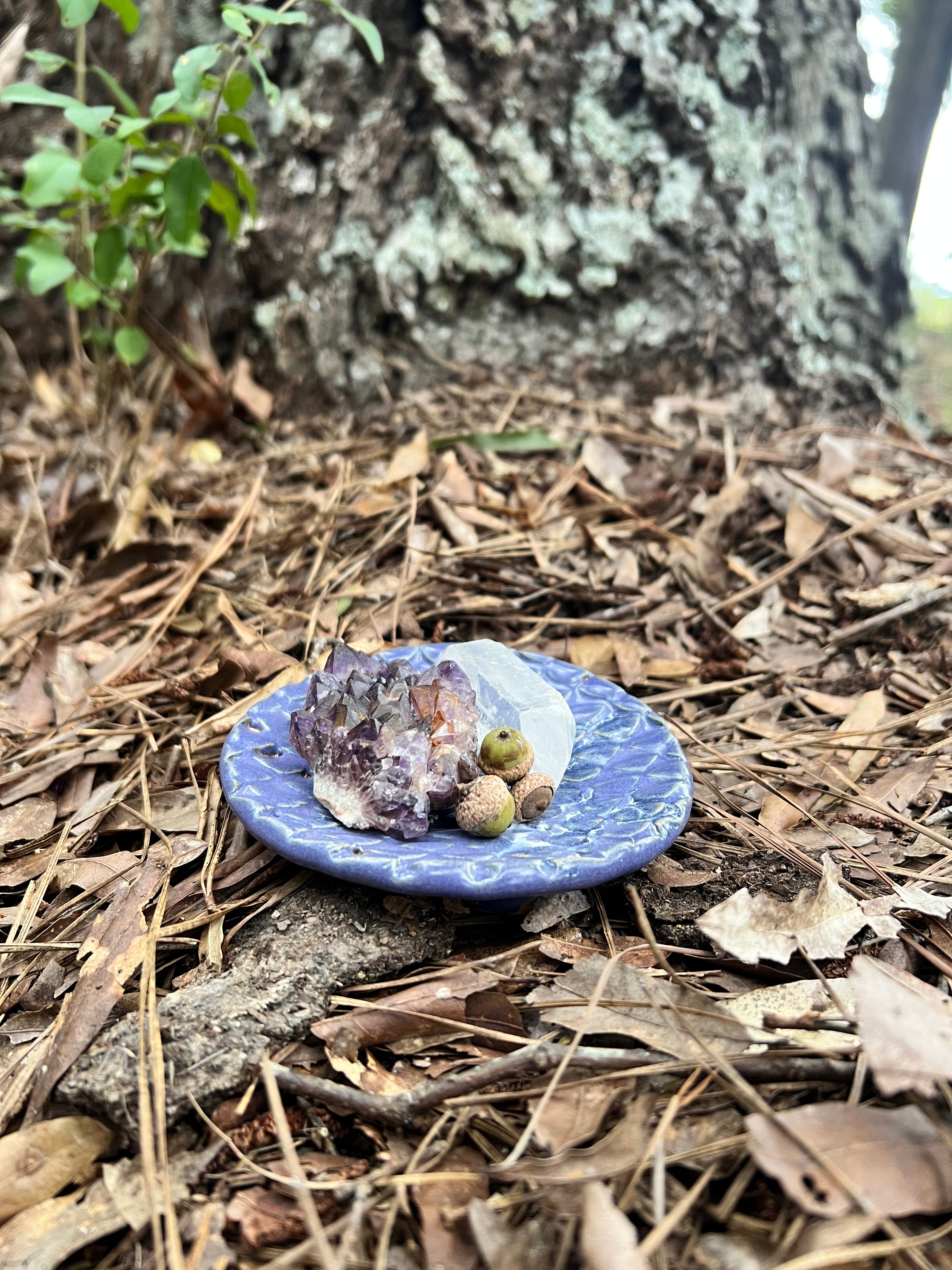 violet dragon scale trinket dish