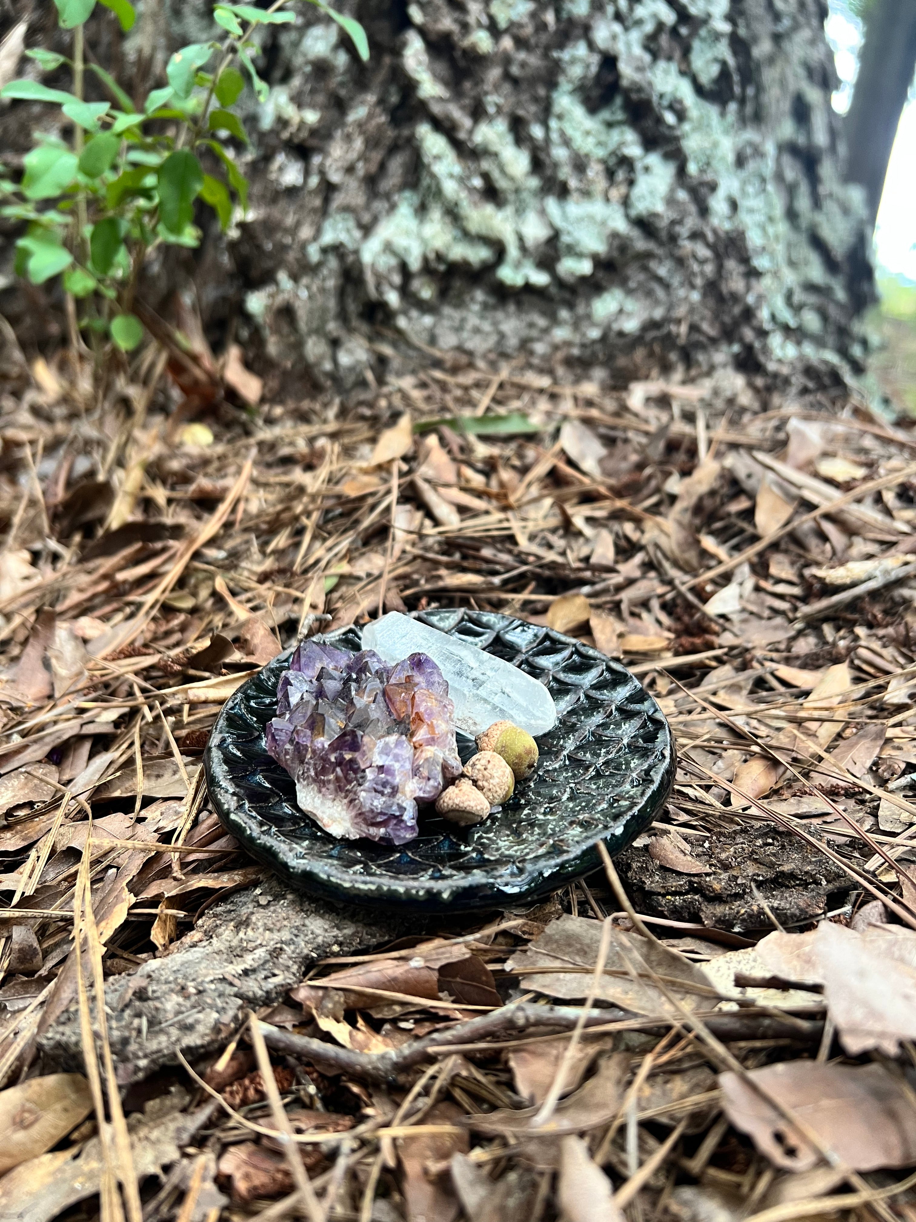 black dragon scale trinket dish