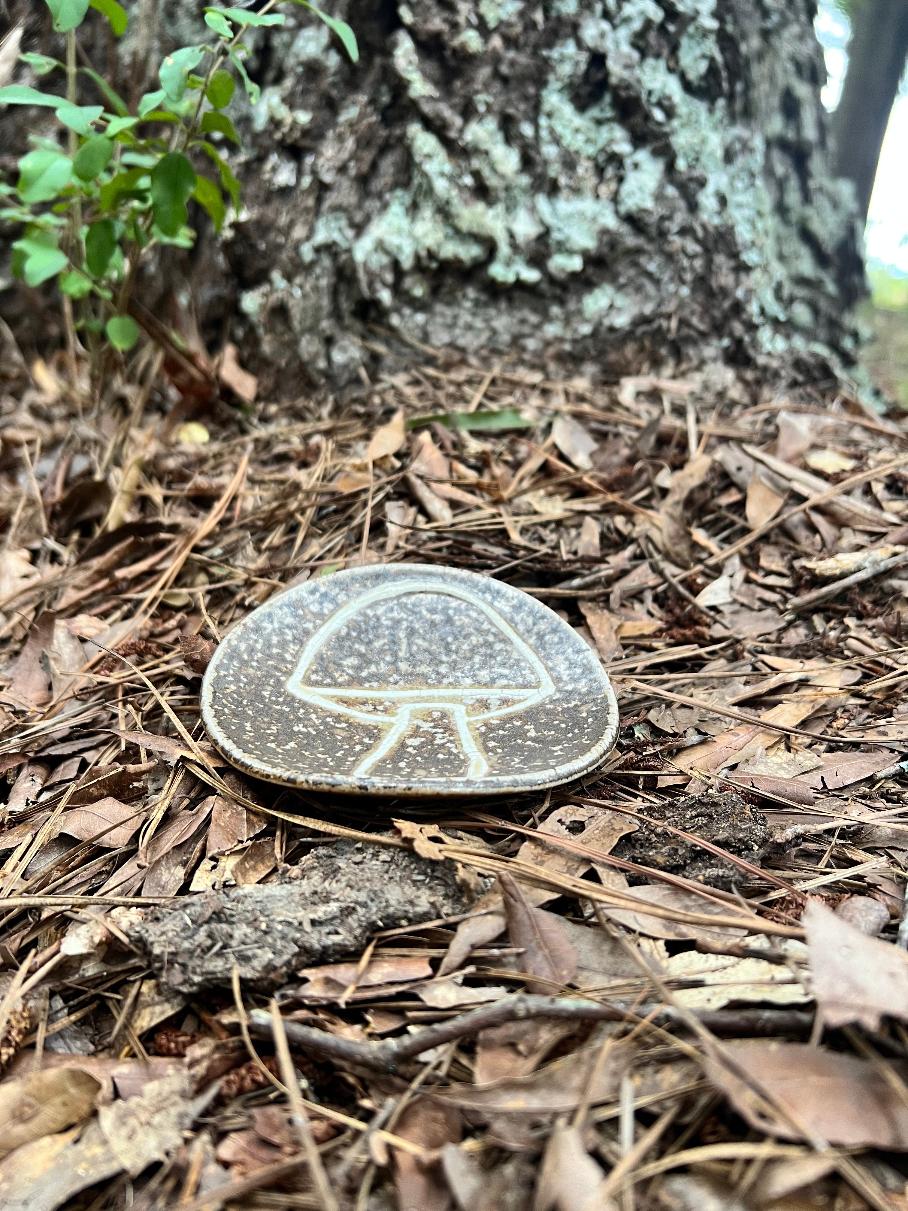 wood fired mushroom trinket dish