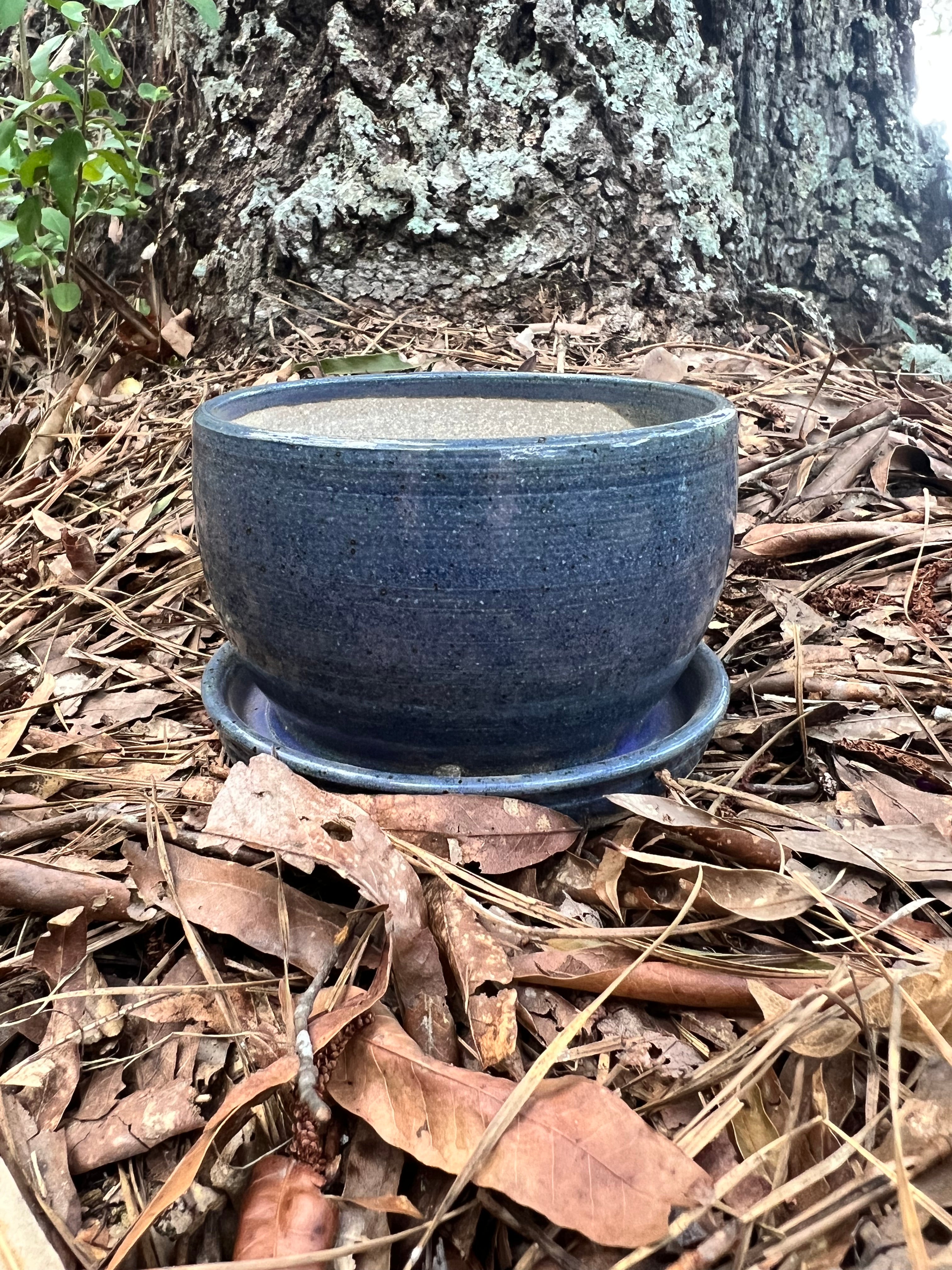 small violet planter