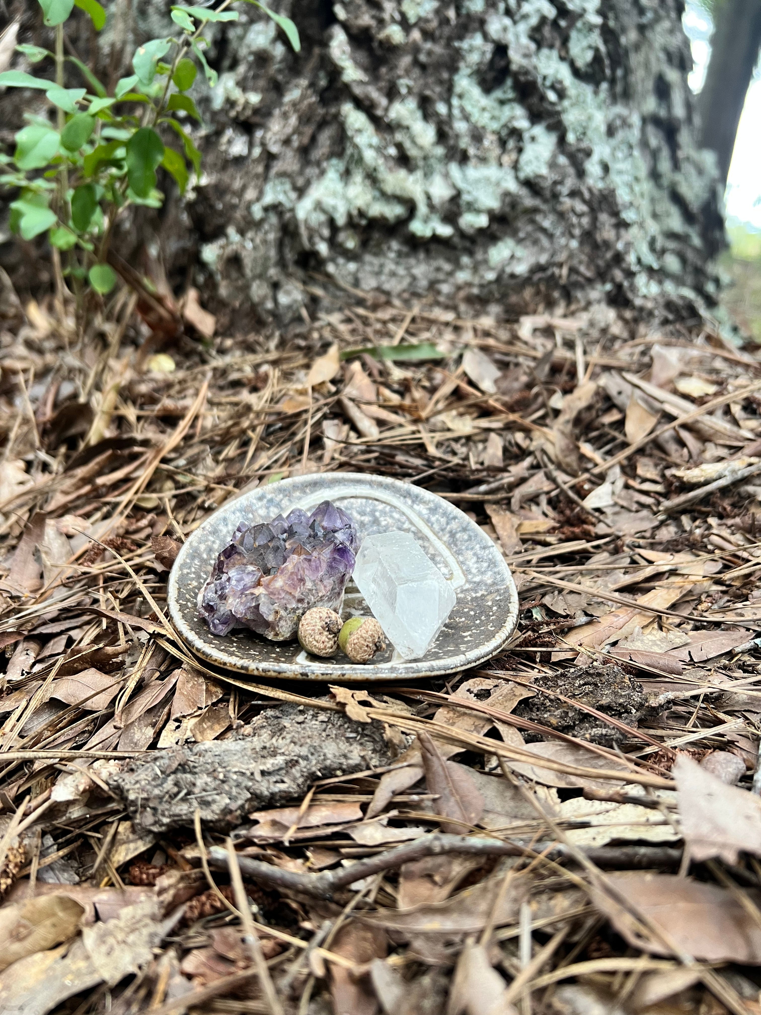 wood fired mushroom trinket dish
