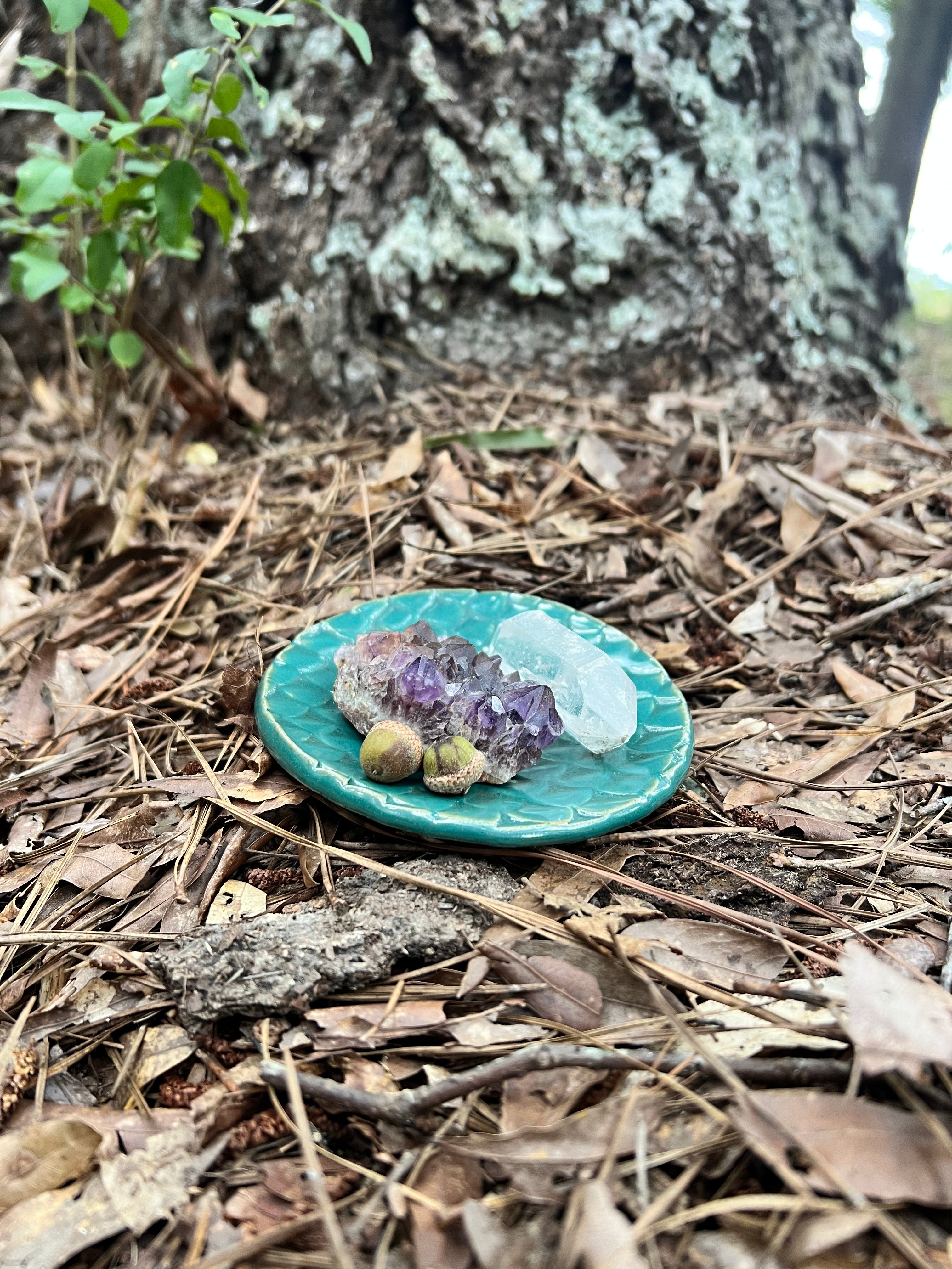 turquoise dragon scale trinket dish