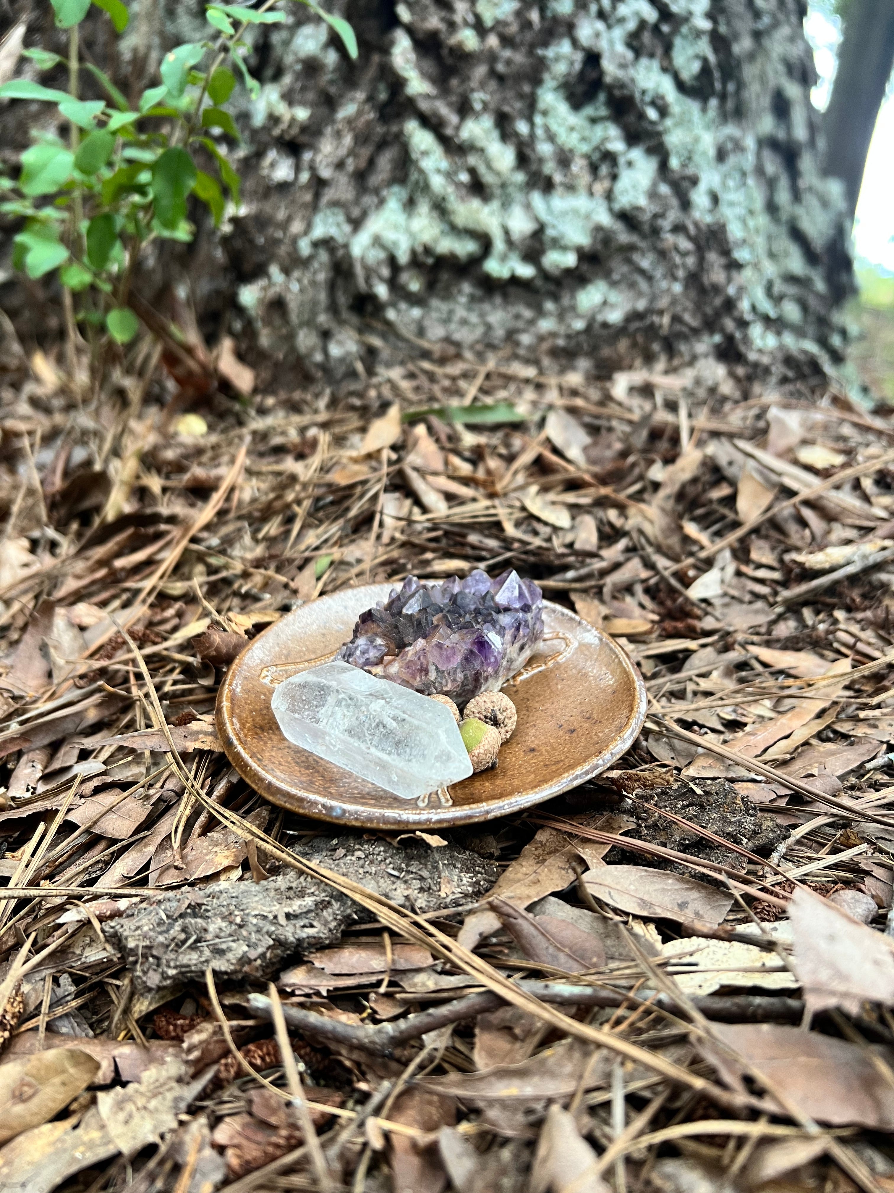 wood fired mushroom trinket dish