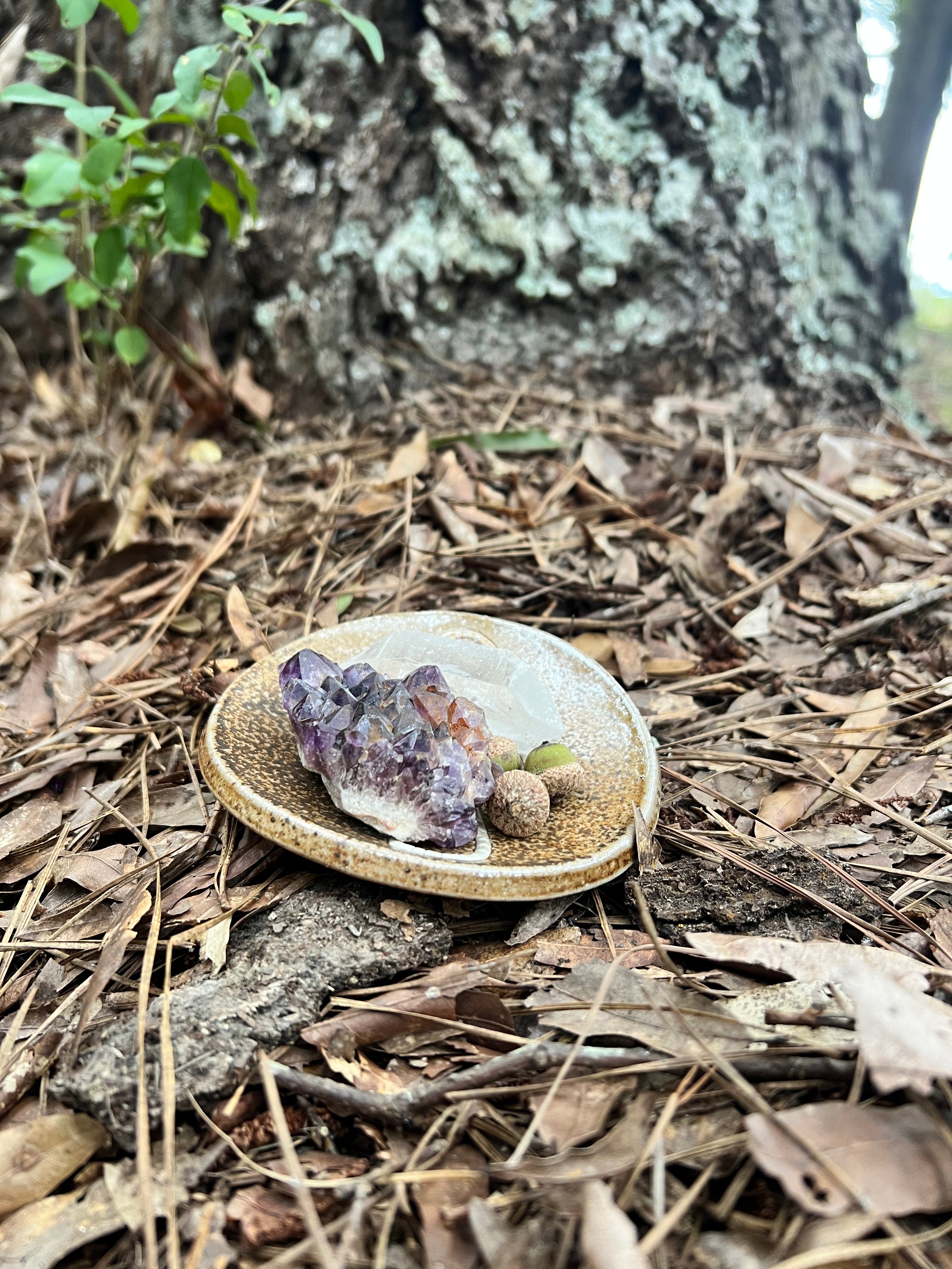 wood fired mushroom trinket dish