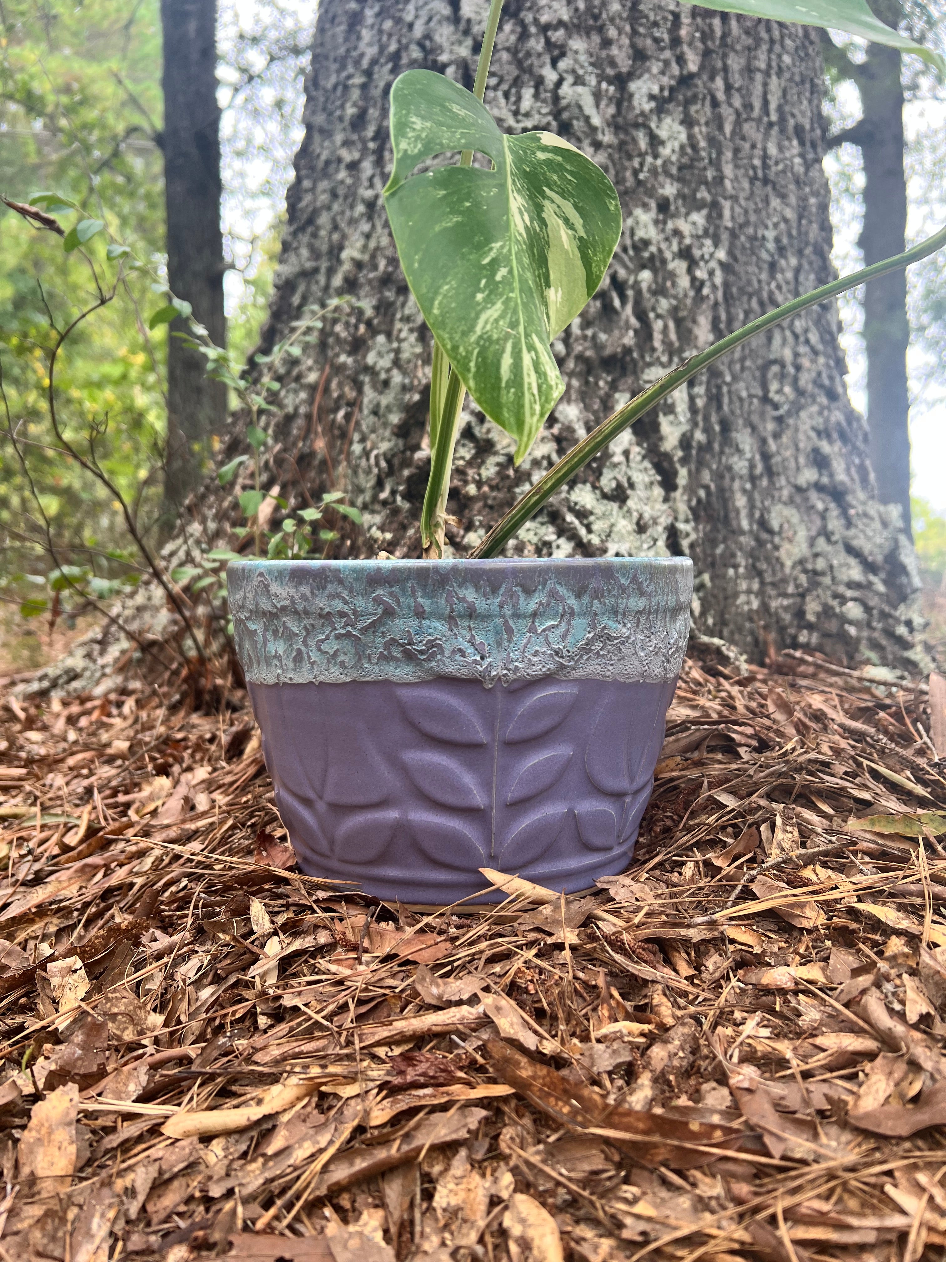 large violet and blue planter