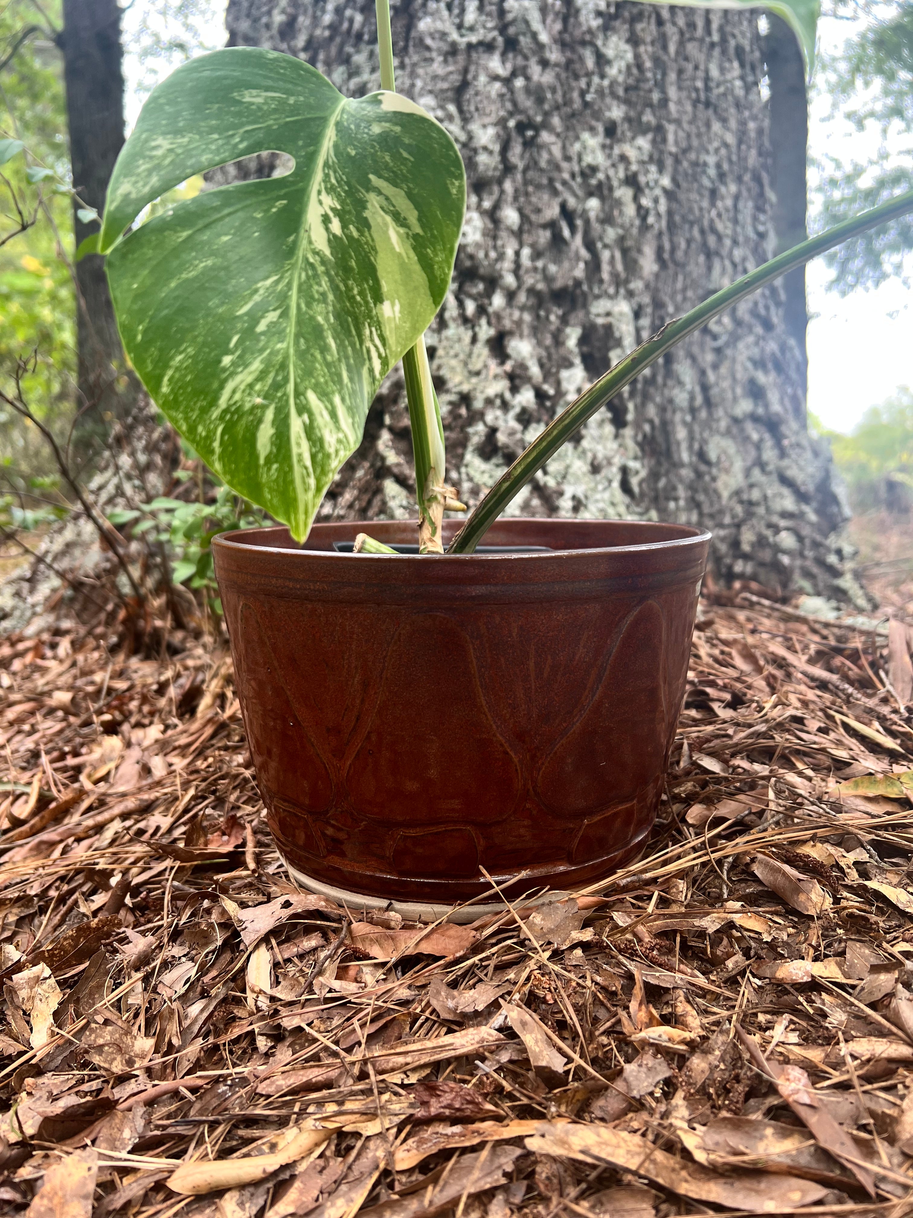large red mushroom planter