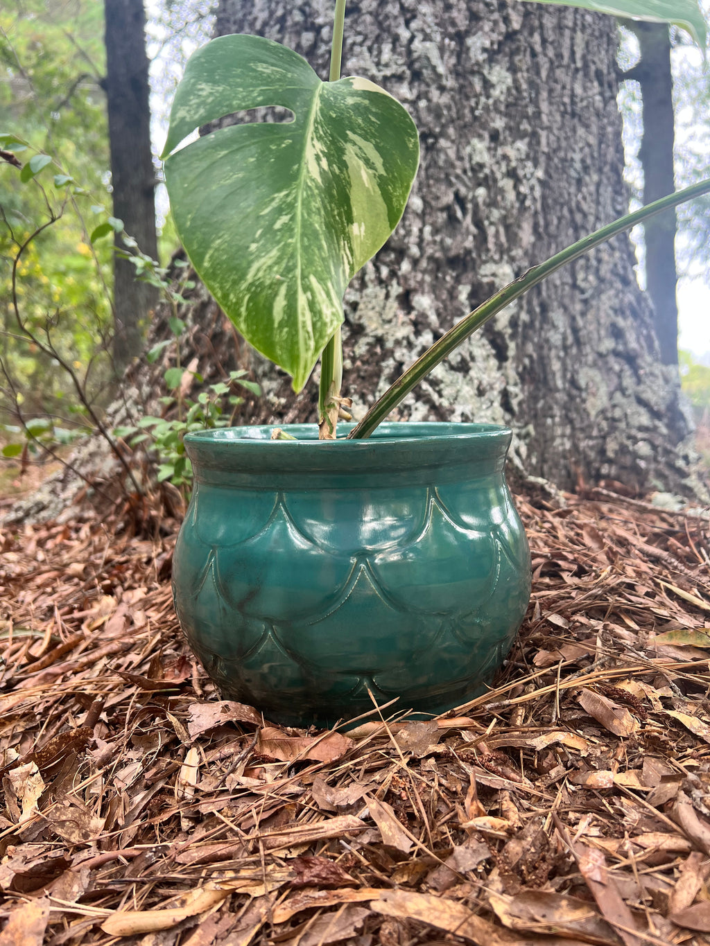 large turquoise scaled planter