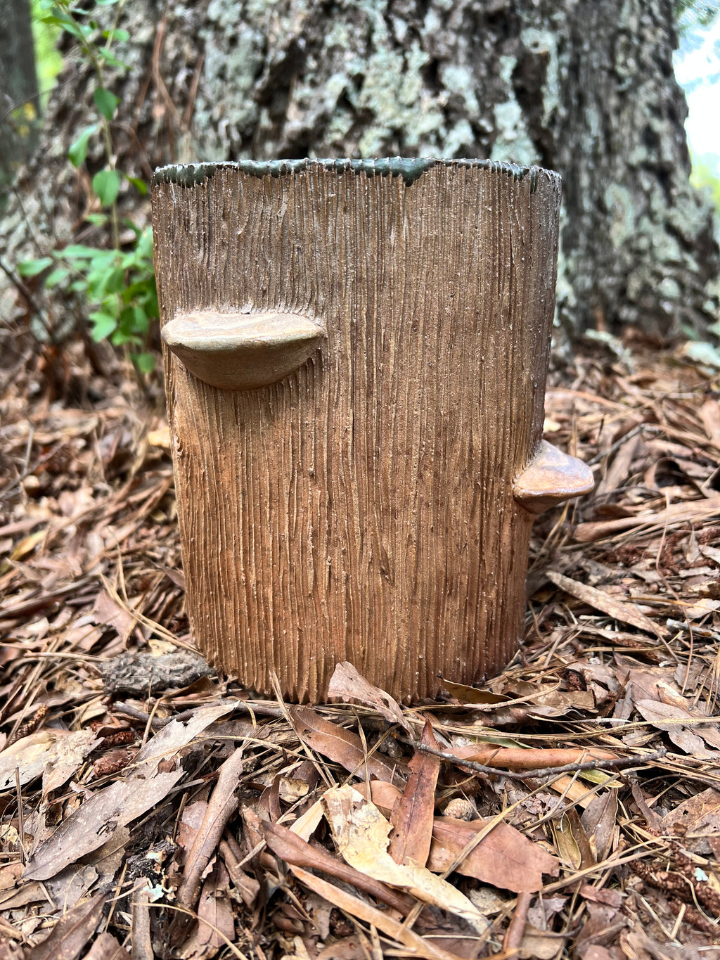 wood fired wood grain vase with conks