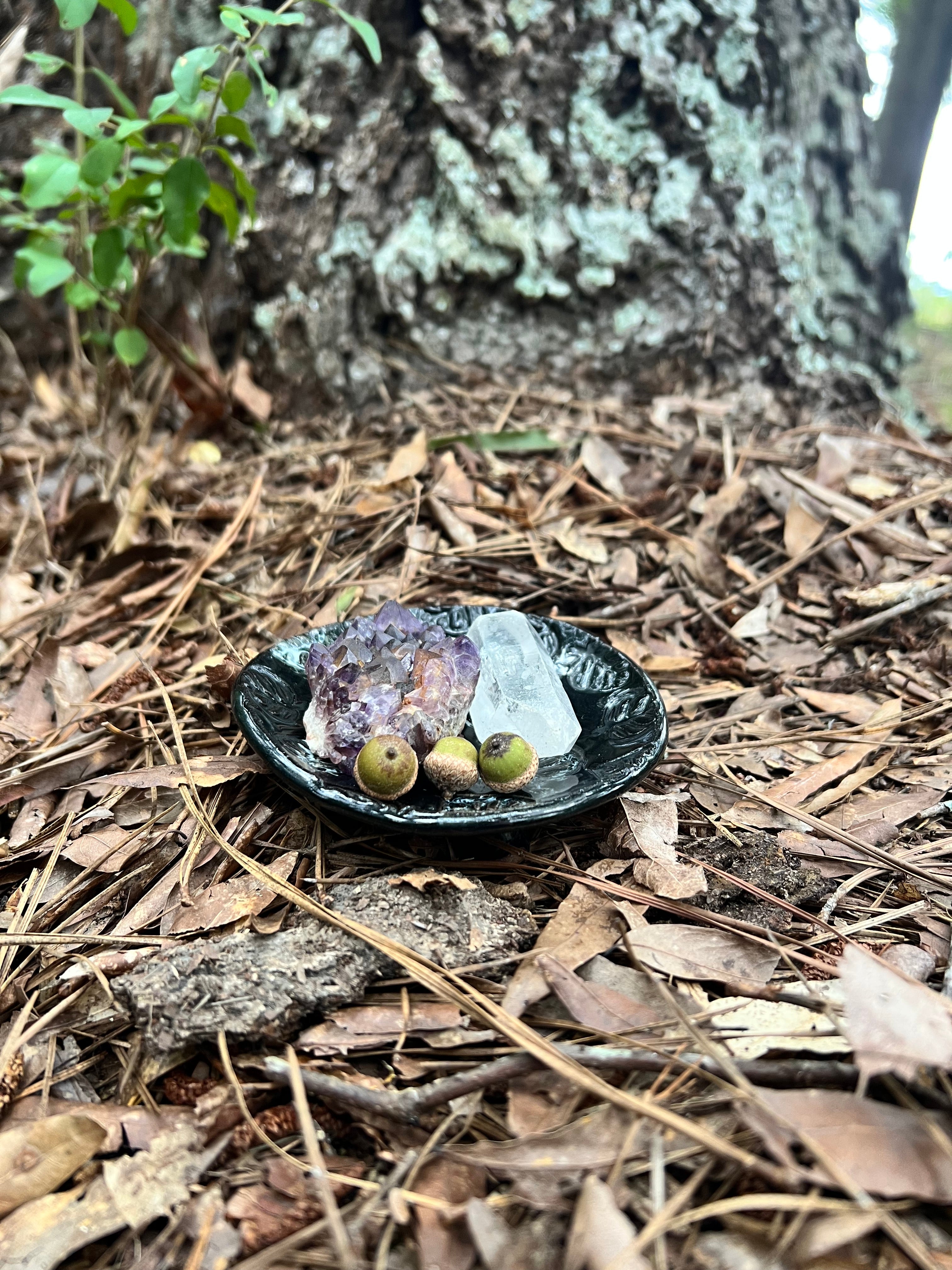 black and white leaf pattern trinket dish