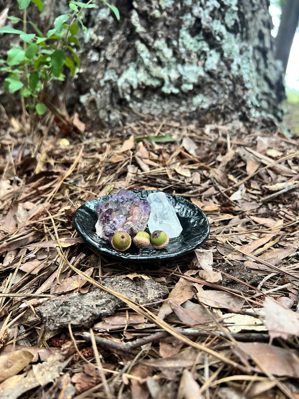 black and white leaf pattern trinket dish
