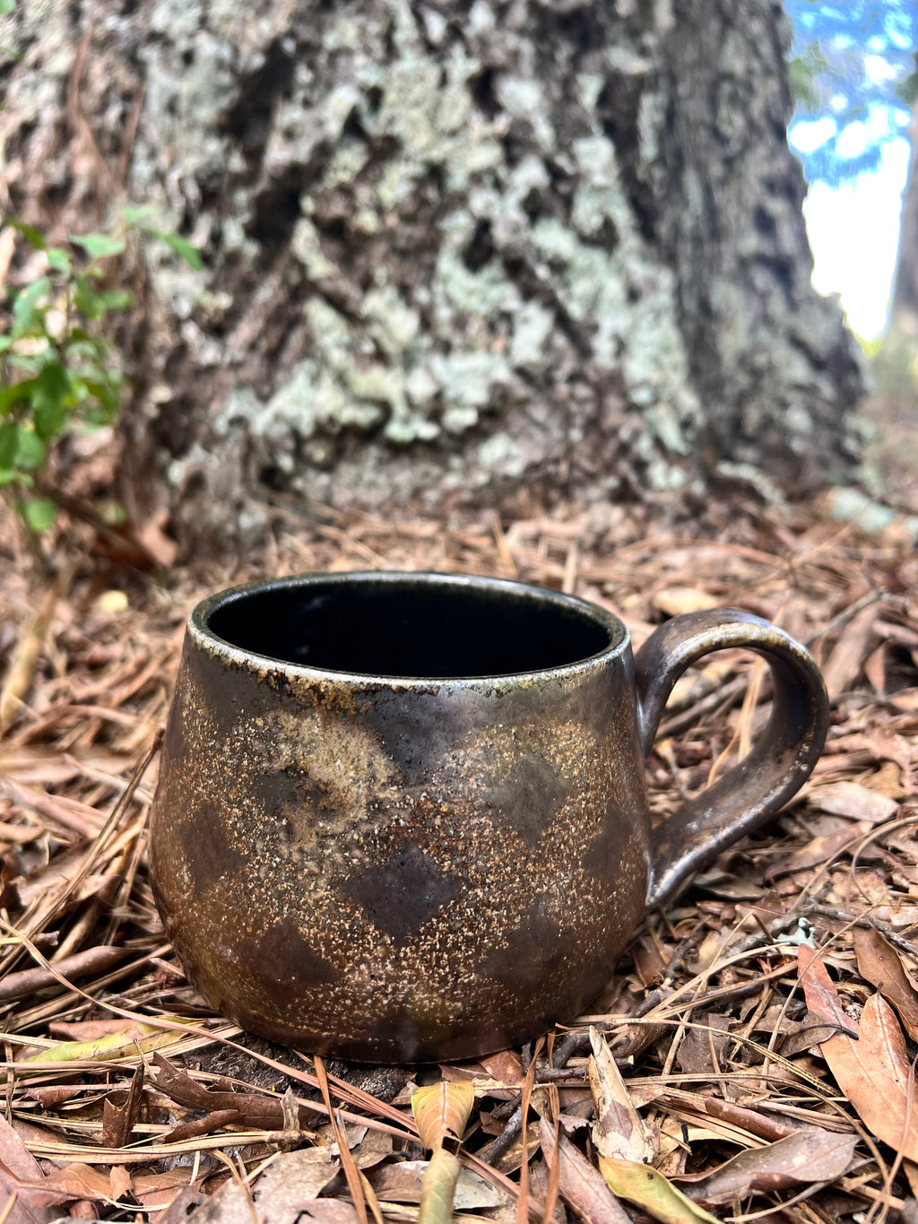 wood fire hand painted mug
