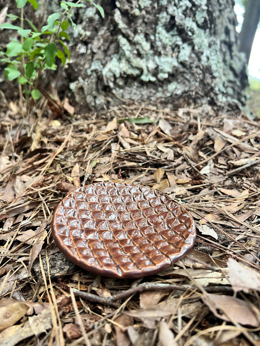 red dragon scale trinket dish