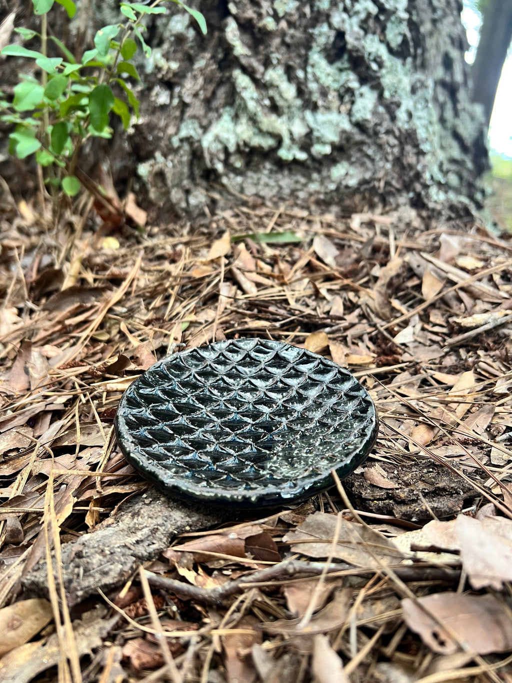 black dragon scale trinket dish