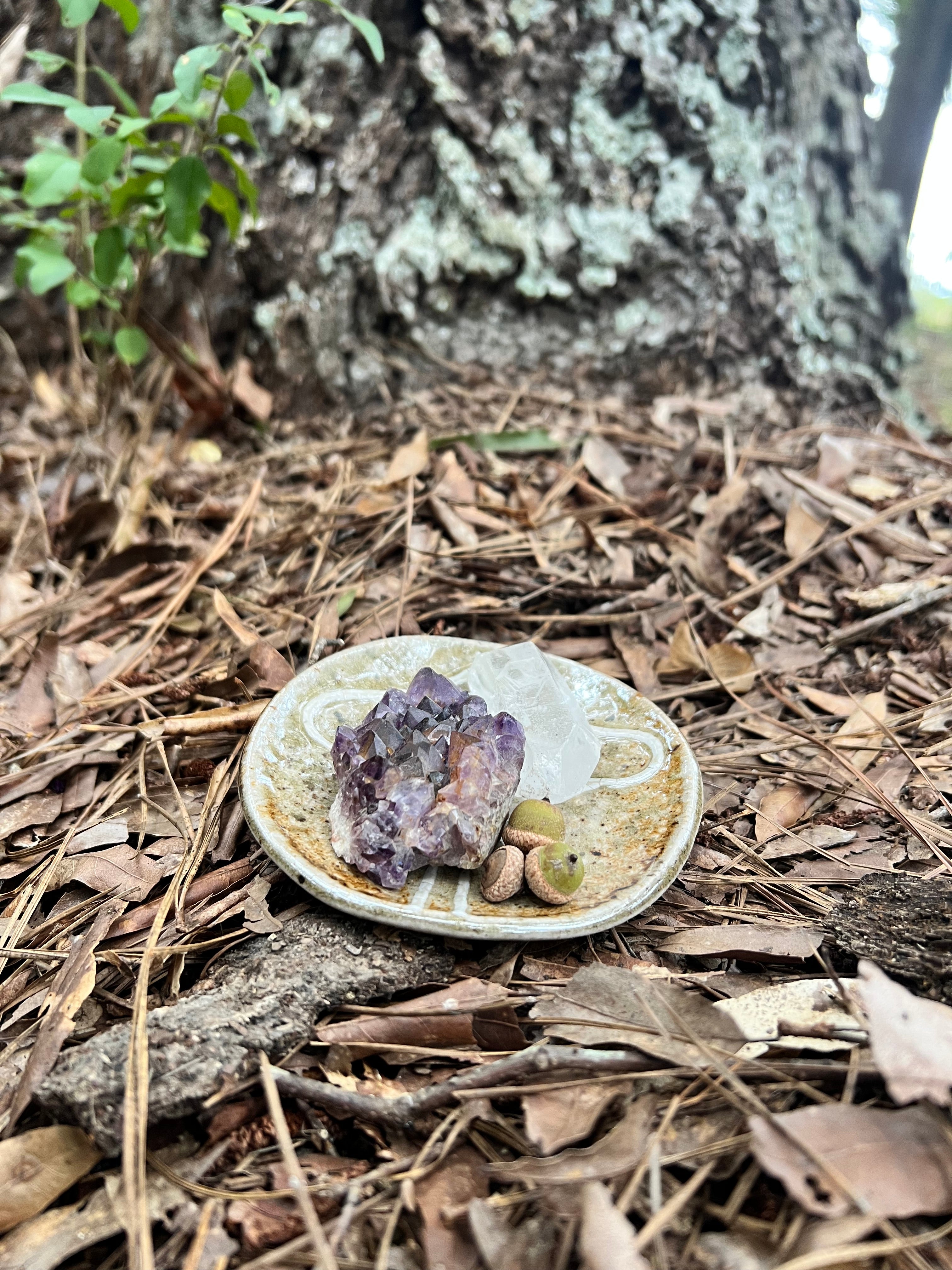 wood fired mushroom trinket dish