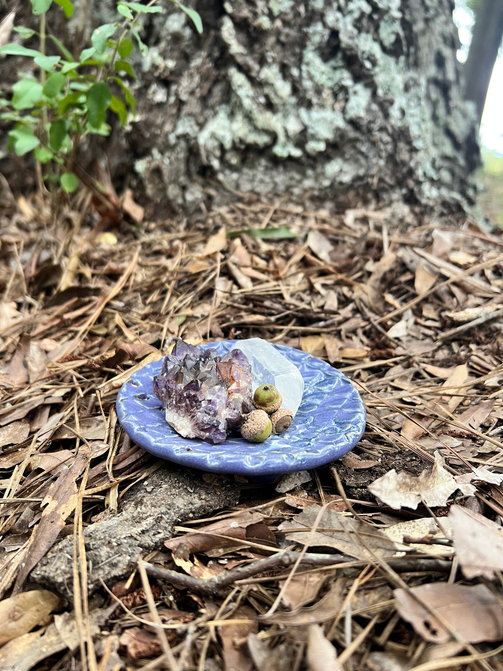 violet dragon scale trinket dish