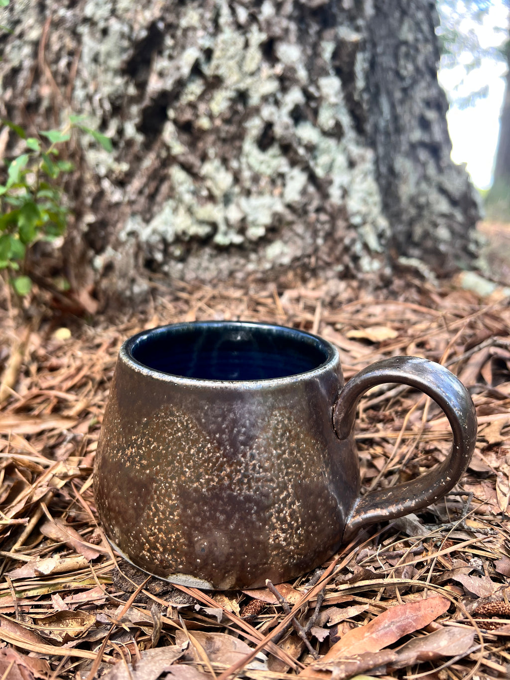 wood fired hand painted mug