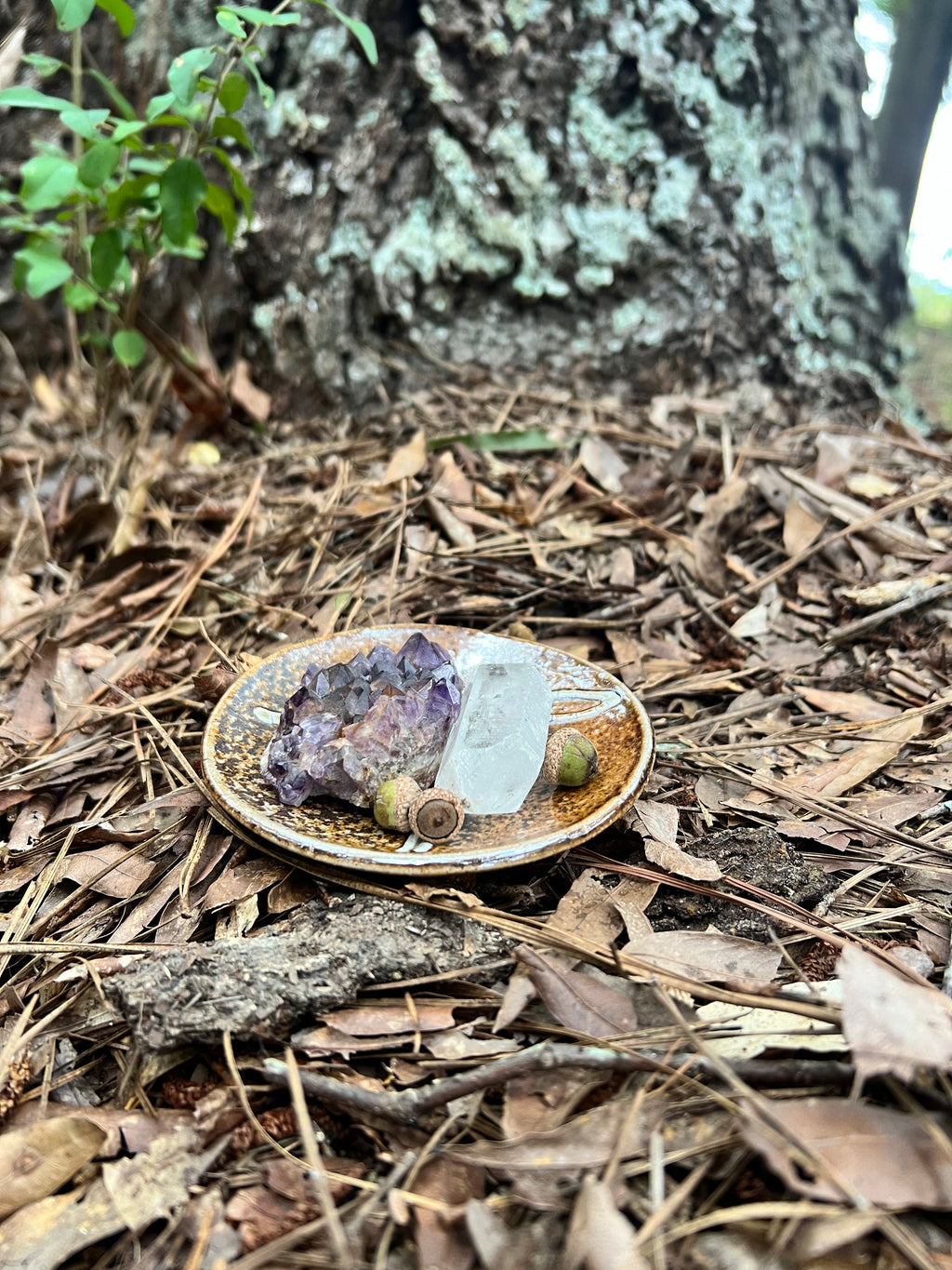 wood fired mushroom trinket dish