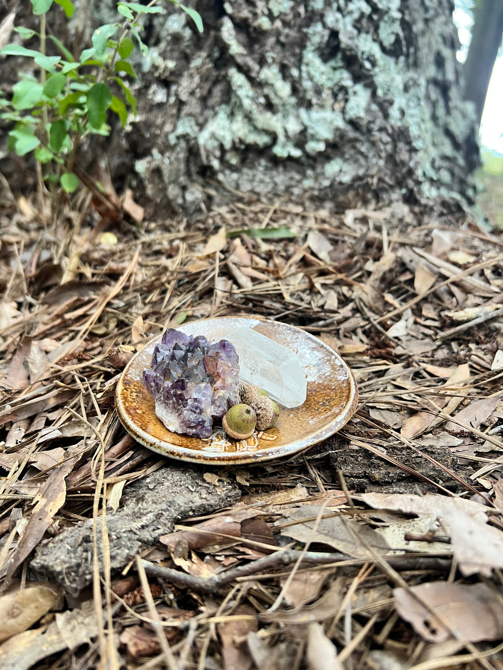 wood fired ghost pipe trinket dish
