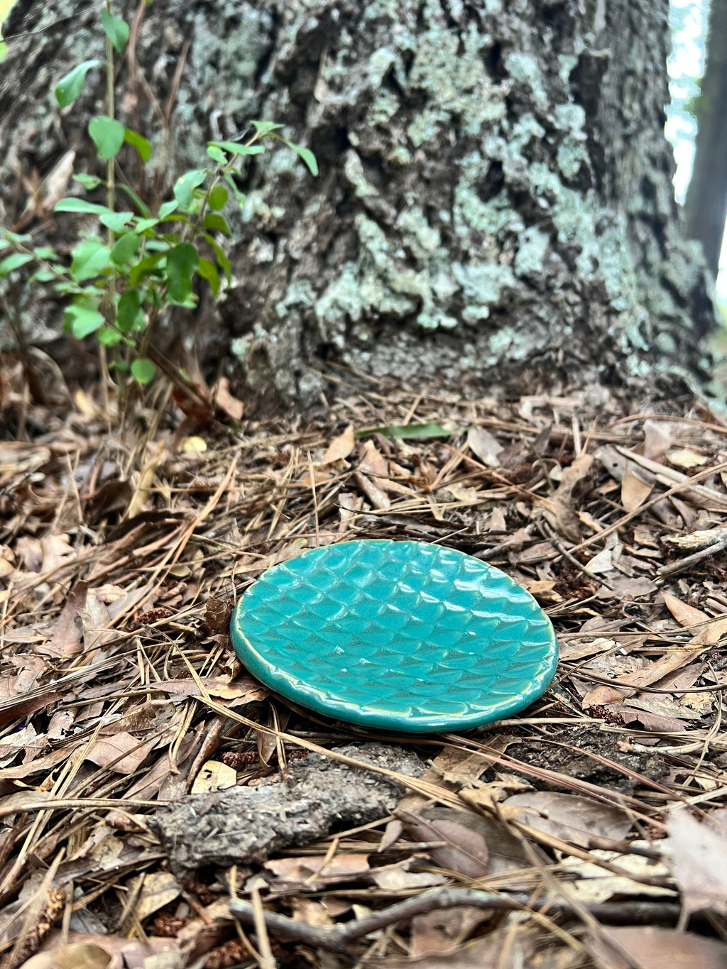 turquoise dragon scale trinket dish