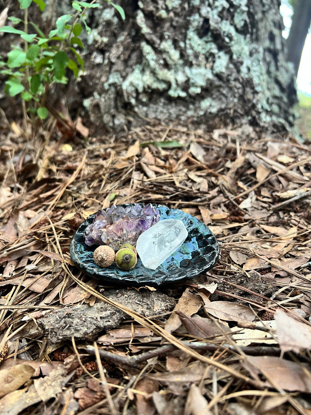 black and green dragon scale trinket dish