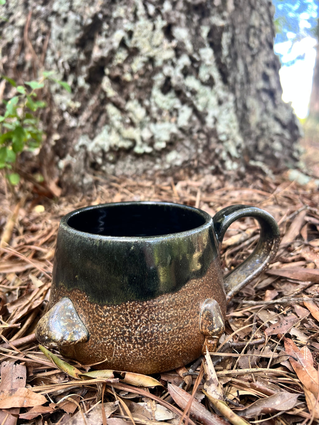 wood fired mug with mushrooms