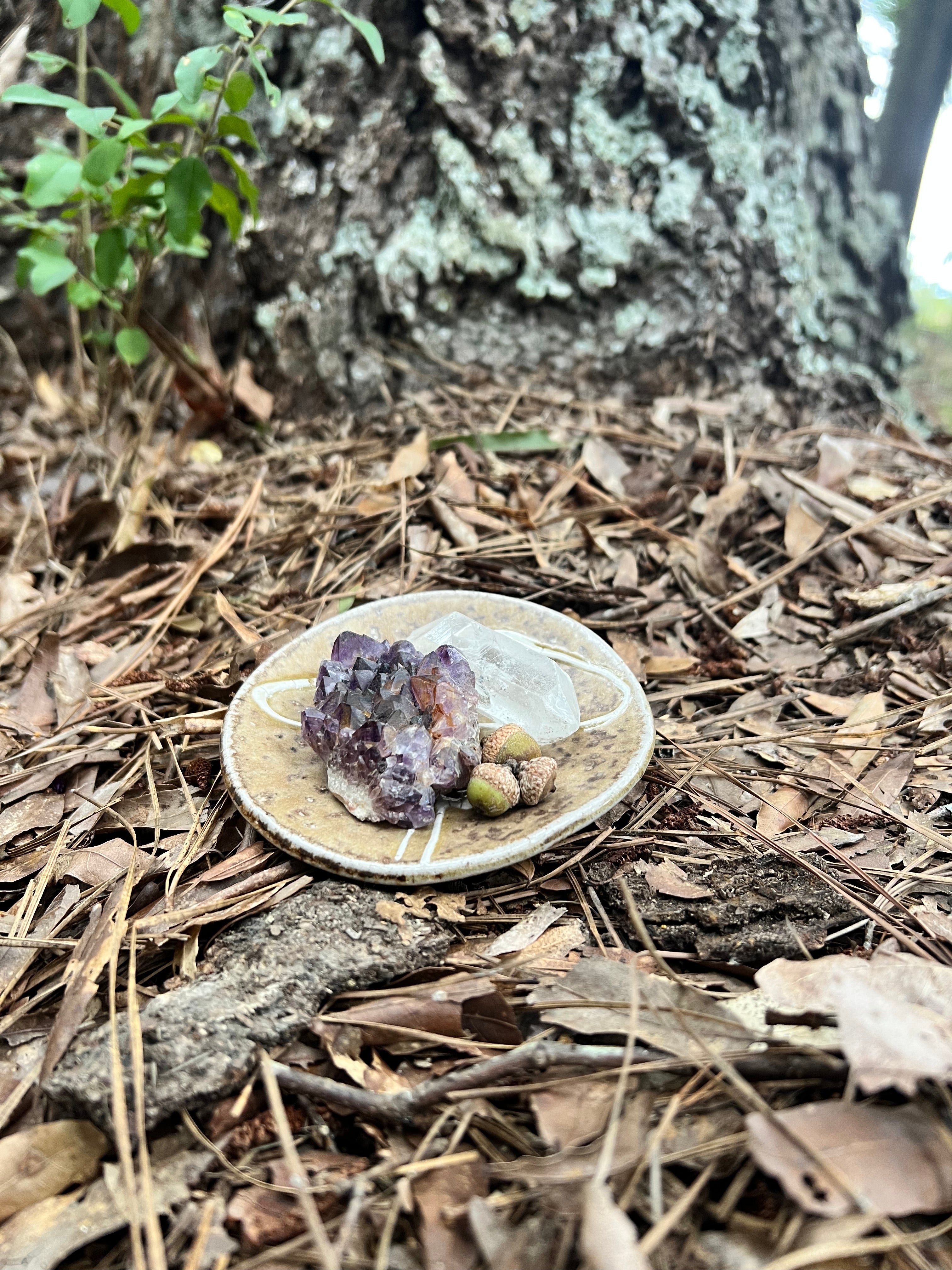 wood fired mushroom trinket dish