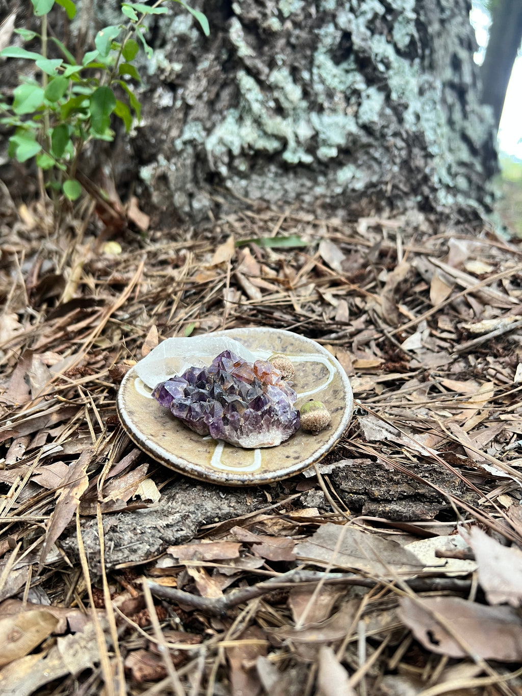 wood fired mushroom trinket dish