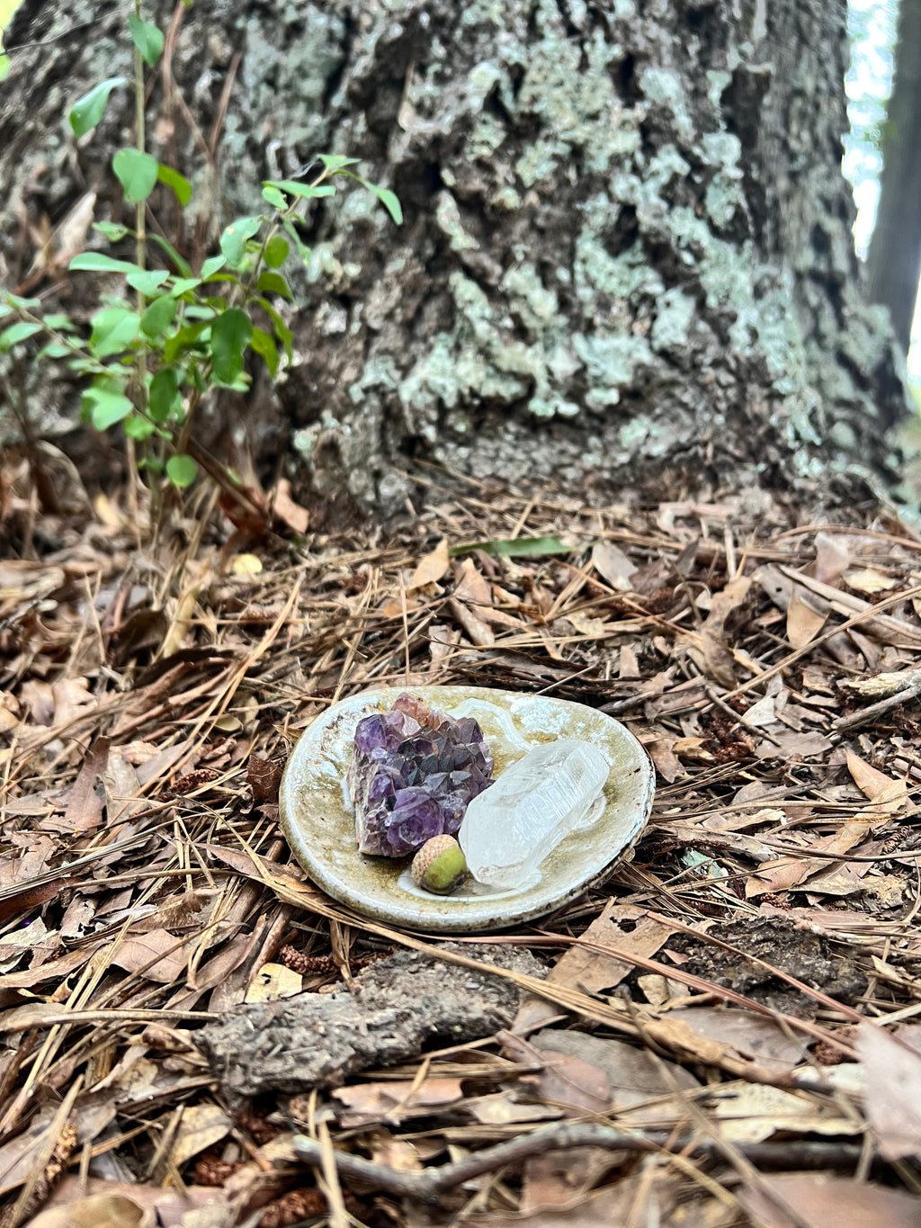 wood fired trinket dish