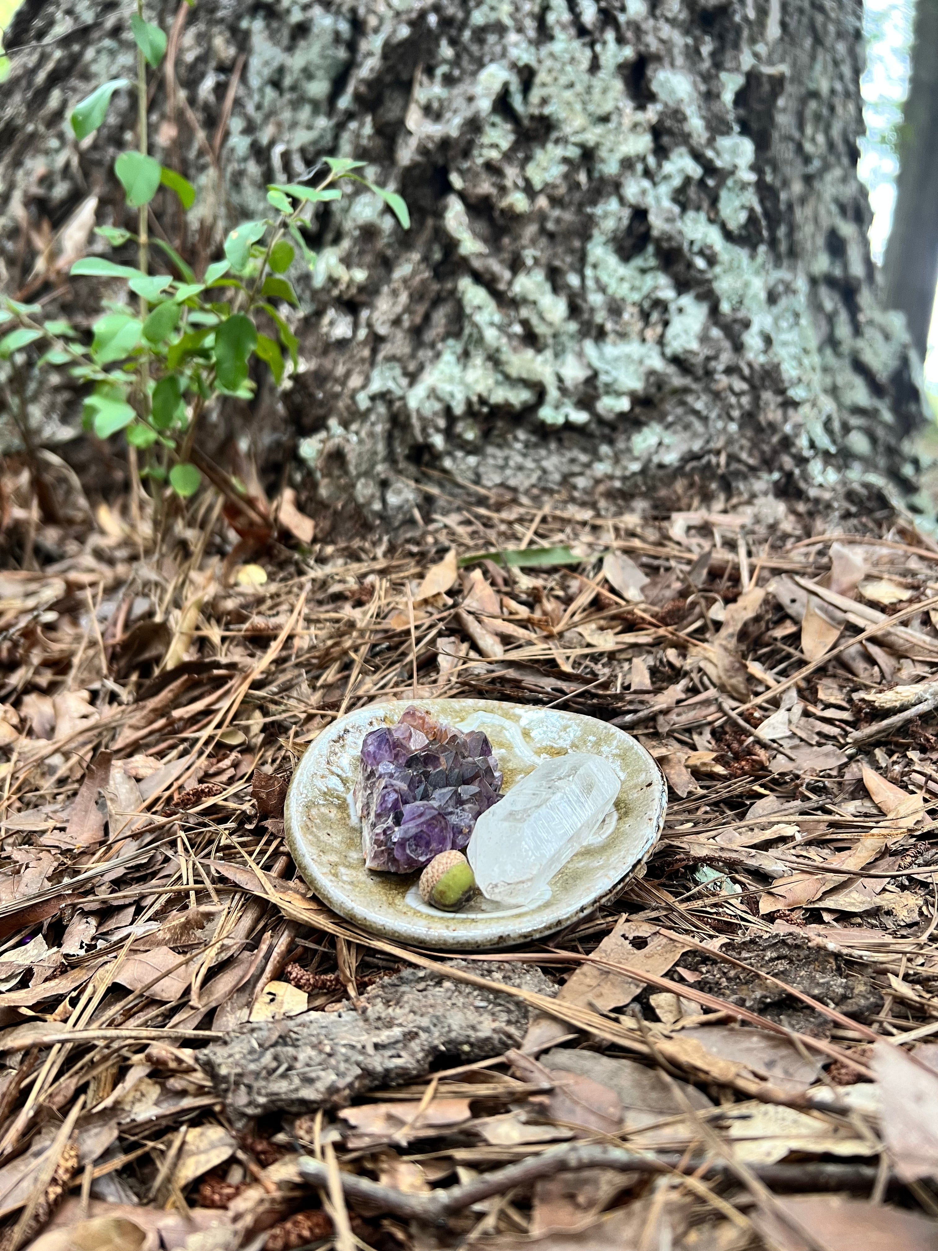 wood fired trinket dish