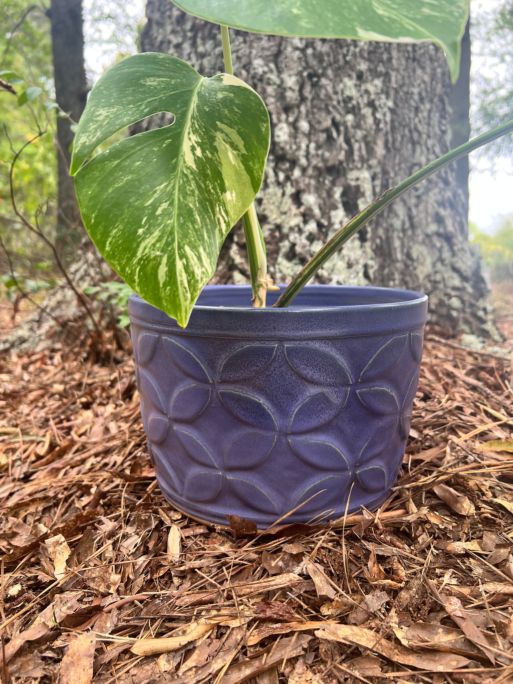 large violet hand carved planter