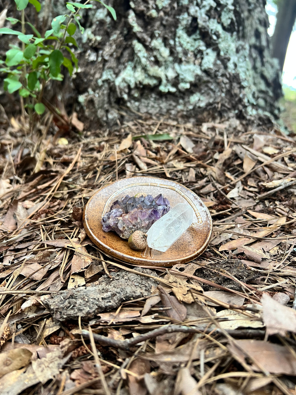 wood fired mushroom trinket dish