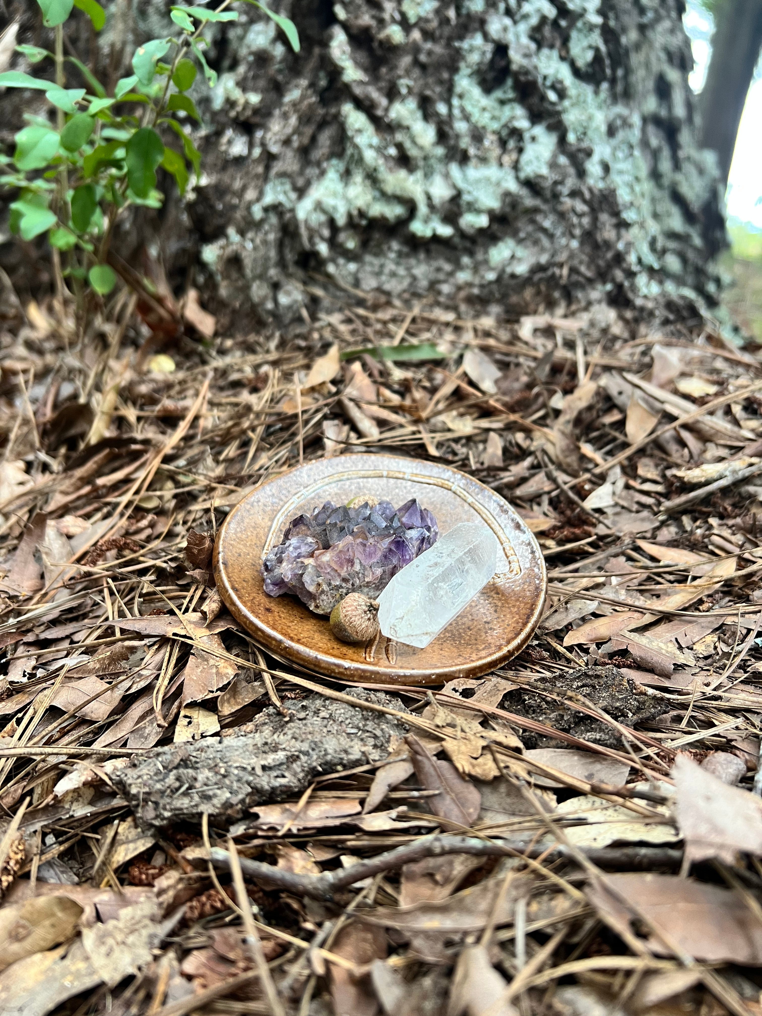 wood fired mushroom trinket dish