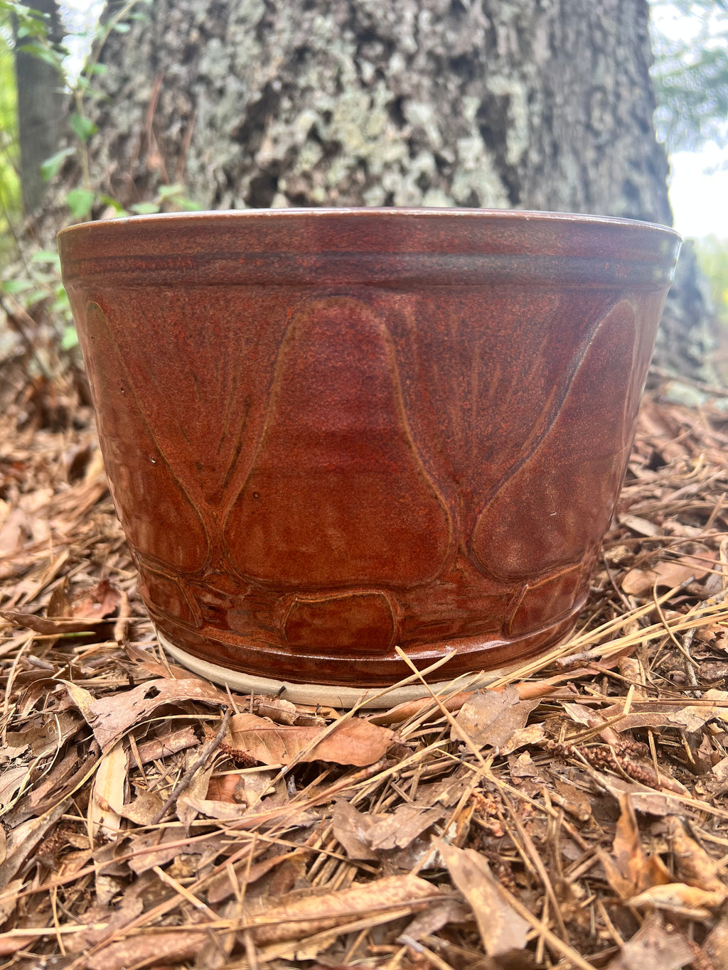 large red mushroom planter