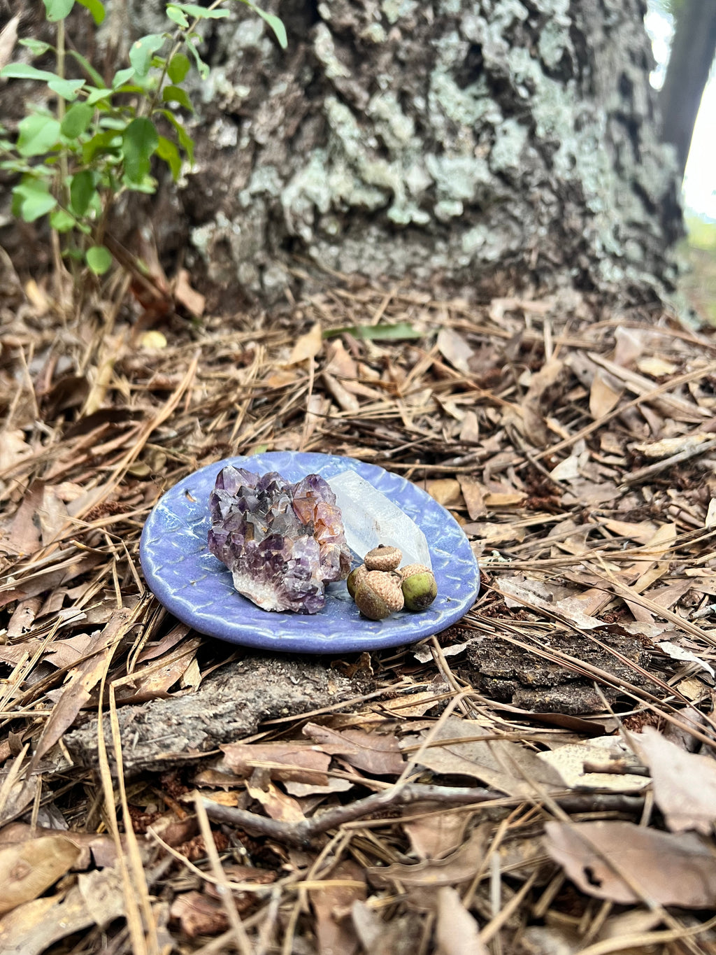 violet dragon scale trinket dish