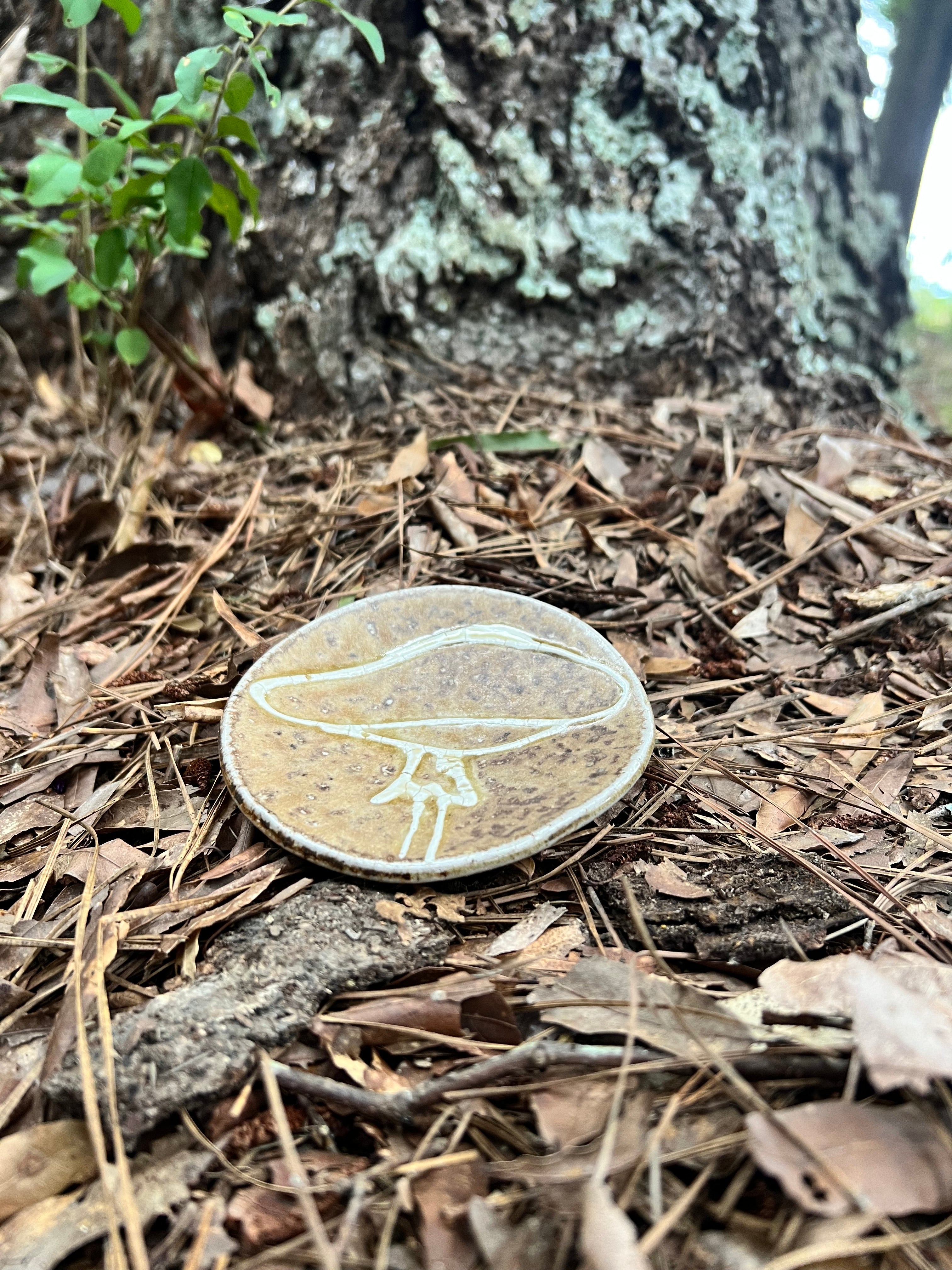 wood fired mushroom trinket dish