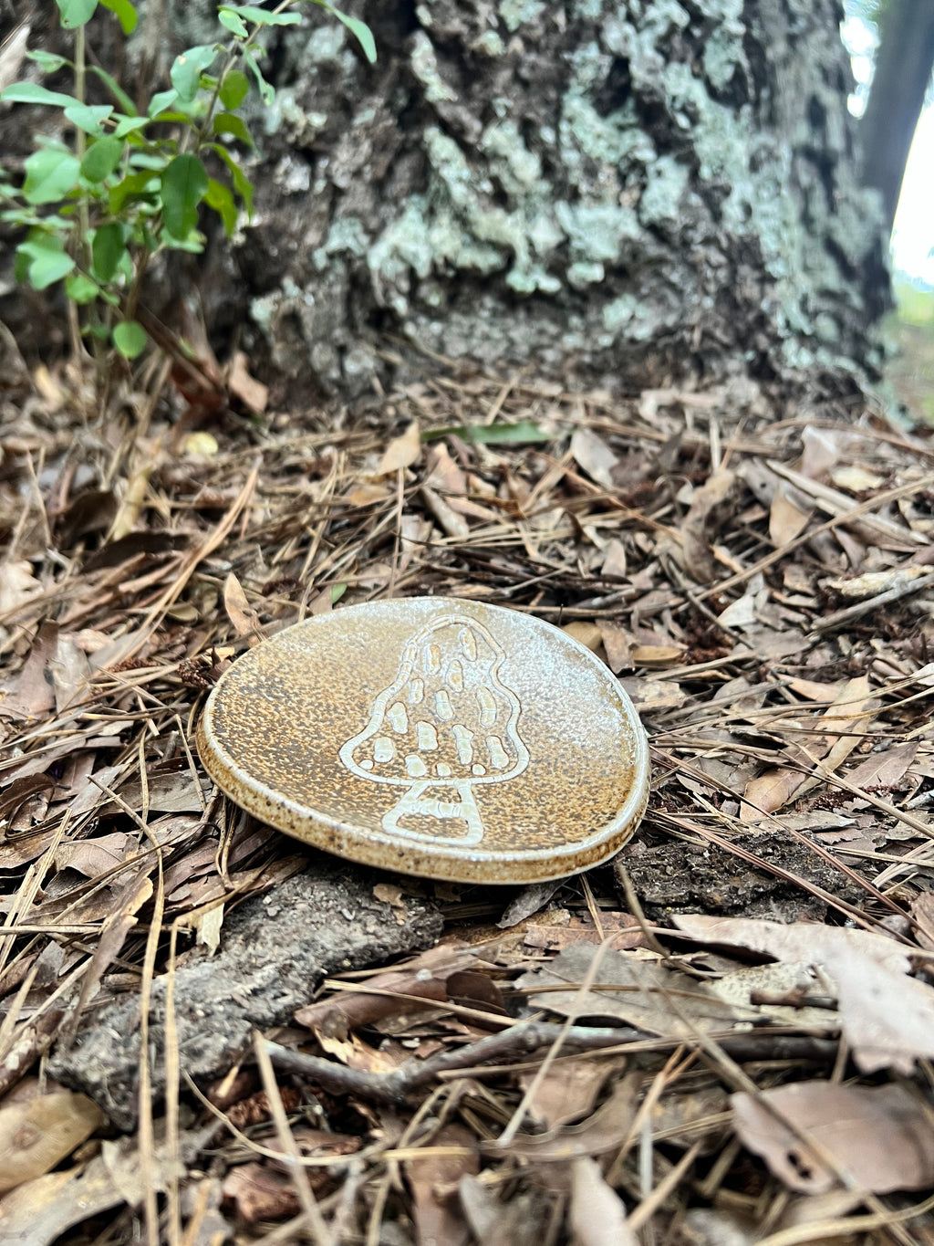 wood fired mushroom trinket dish
