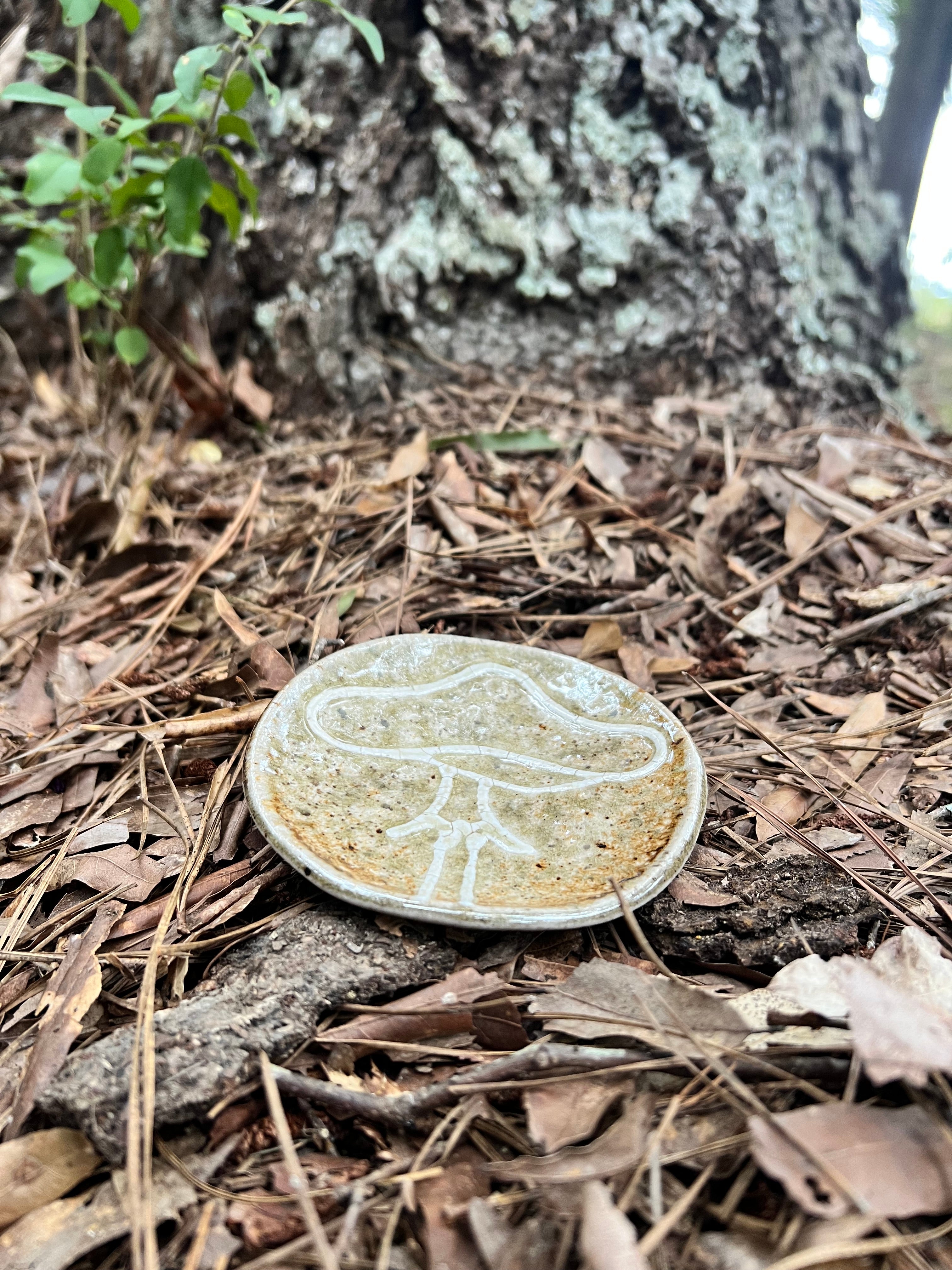 wood fired mushroom trinket dish